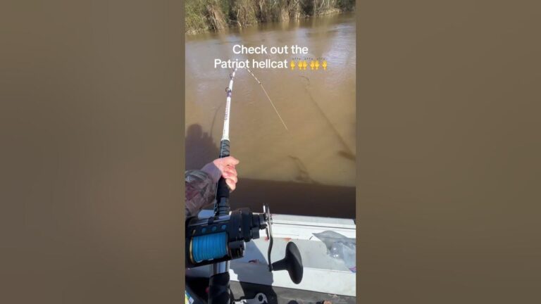 Hellcat Fishing Rod
